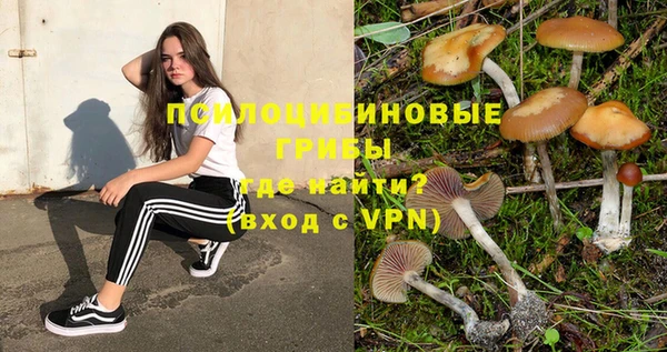 a pvp Майский