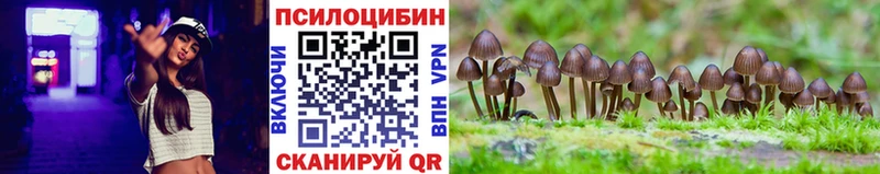Псилоцибиновые грибы MAGIC MUSHROOMS  Купить где  Полярные Зори 